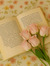 Bookbunny