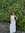 amandine