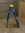 Ali P