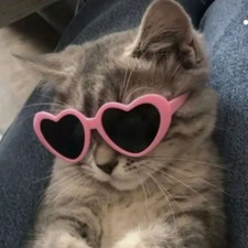 alysha &#x1f33f;&#x1f98b;&#x1f34a;