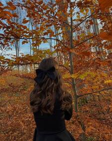 CC &#x1f341;₊˚ (Kimi Antonelli's version) [semi-active]