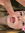 Lily Janke