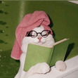 Caitlin