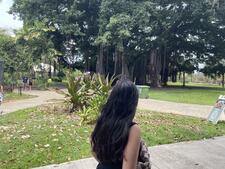 Vianney
