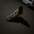 nollie