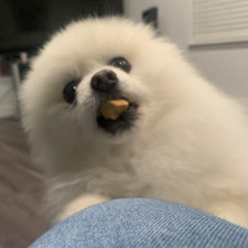 Mia