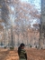 Afrah