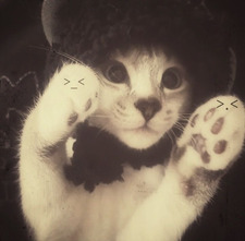 lia ᓭི༏ᓯྀ (taylors version) ⸆⸉