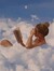 Orphée