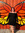 Carly Tomajko | 1 comments