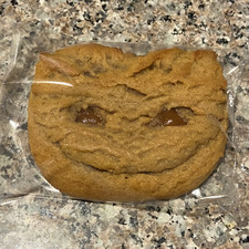 Michelle Terwilliger