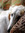 [ Ollie ] || [ Miserabilia ] | 2 comments