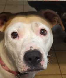 Jonathan kielbasinski