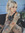 Laura Reynolds | 13 comments