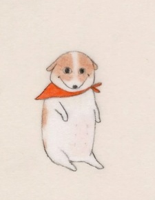 Poppy