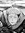 Zoe | 41 comments