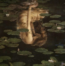 nepenthe ✧˖*°࿐