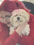 Abbie Z...