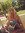 Camilla | 1 comments