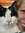 Nienke Goeree