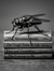Gregor Samsa