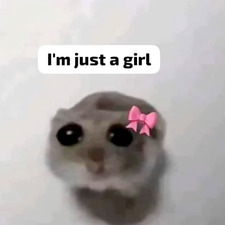 mochimochi