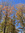 Zoey | 1 comments
