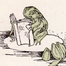 ⋆ Elodie Dillon ⋆