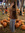 yunyi cheatham | 8 comments