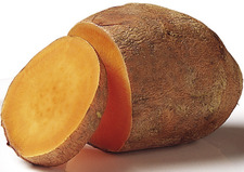 A yam