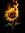 Burned Sunflowers