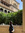 Alessandra (compulsioni) | 1 comments