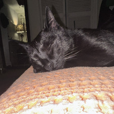 Al