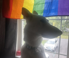 kota :)