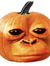 Tjippe