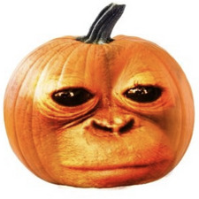 Tjippe