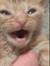 _.-N1C0_R3ADS-._