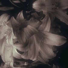 soph &#x1d717;&#x1d71a;