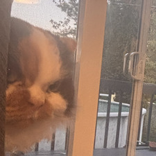 Madeleine Vaillancourt