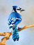 A Little Birdie