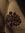 Anvesha ⋆ ˚。⋆୨୧˚ | 14 comments