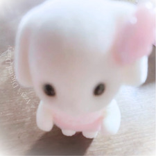 Izzy's Digital Diary