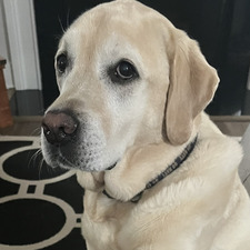 Maddie