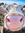 Mooo