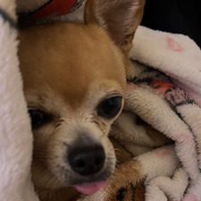 jenny ૮₍´꒳`₎ა₊˚⊹♡