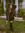 Alysha | 3 comments