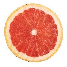 pamplemoose that reads