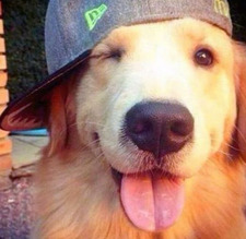 safi &#x1f412;&#x1f33a;