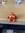Mole
