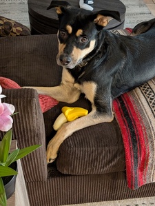 Dylan W Moore